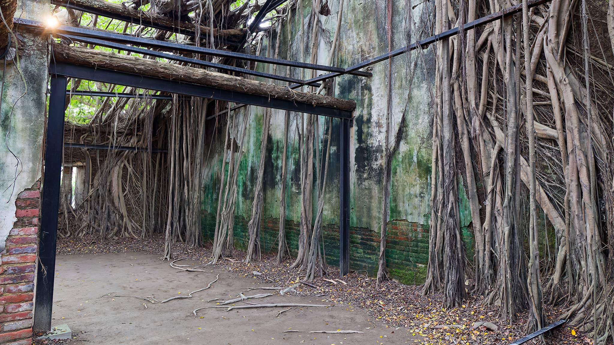 06 - Kaohsiung (60).jpg